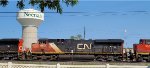 CN 2810